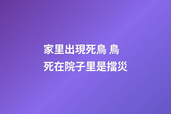家里出現死鳥 鳥死在院子里是擋災